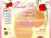 Beautiful Rose