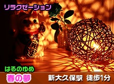 春の夢