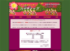 ハッティップ 新橋 タイ式マッサージ・マッサージ