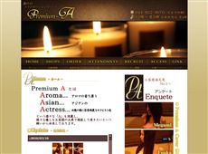 Premium A 溝の口 中国式エステ・マッサージ