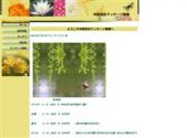 蘭蘭