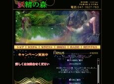 妖精の森 柏 中国式エステ・マッサージ