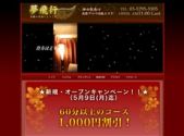 夢飛行