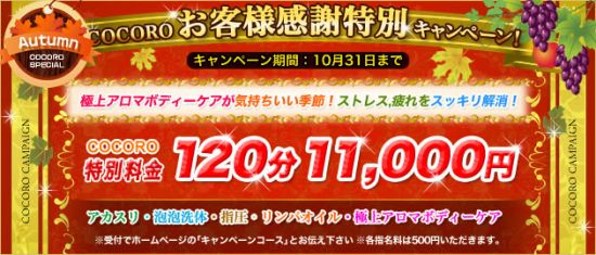 キャンペーン情報